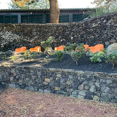 Palácio - Exclusive Villa, Caloura Água de Pau