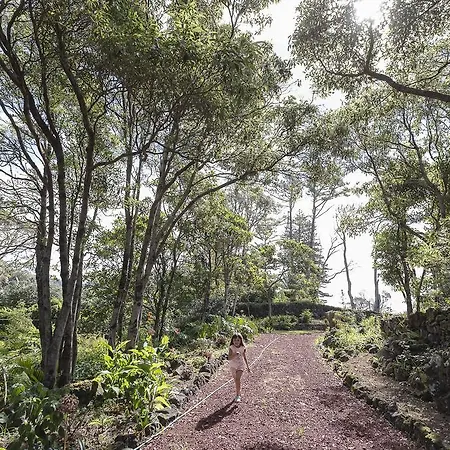 Palácio - Exclusive Villa, Caloura * Água de Pau